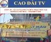 CDTV 50 – ALTAR INSTALLATION CEREMONY AT MY HOA MOTHER GODDESS TEMPLE, PROVINCE OF BEN TRE