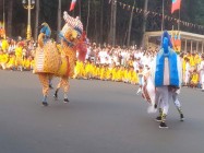 HỘI THÁNH MỪNG XUÂN BÍNH NGỌ MÙNG 1 TẾT 2026